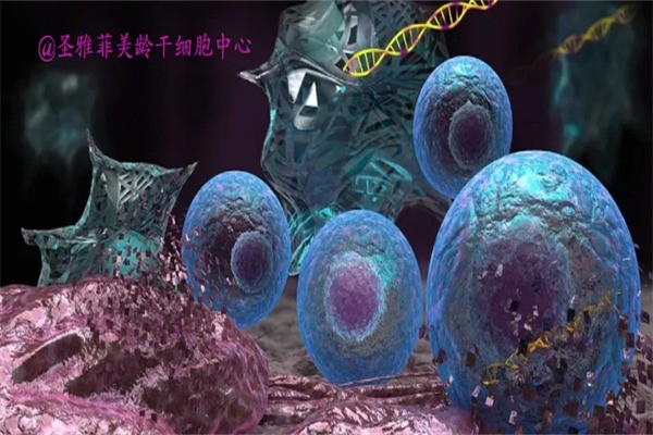 圣雅菲美容美体